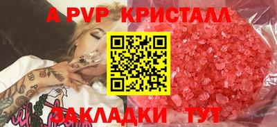 герыч Кингисепп