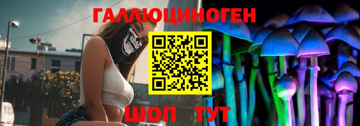 Псилоцибиновые грибы Psilocybe  Вход с VPN  Псилоцибиновые грибы Magic Shrooms  Хасавюрт 